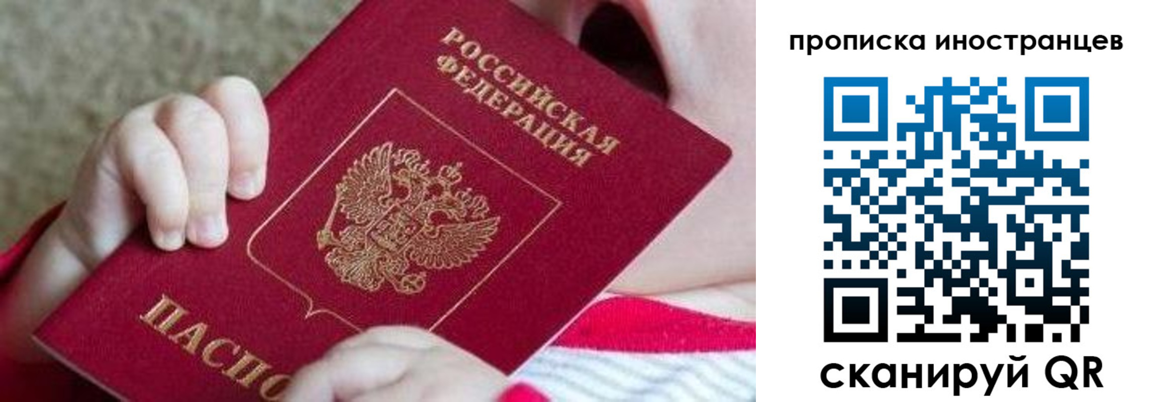 временная регистрация поиск в Алексеевке